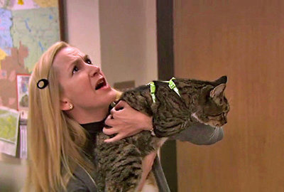 Angela, helping the needy cats